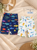 Set de shorts para niño con alegres estampados